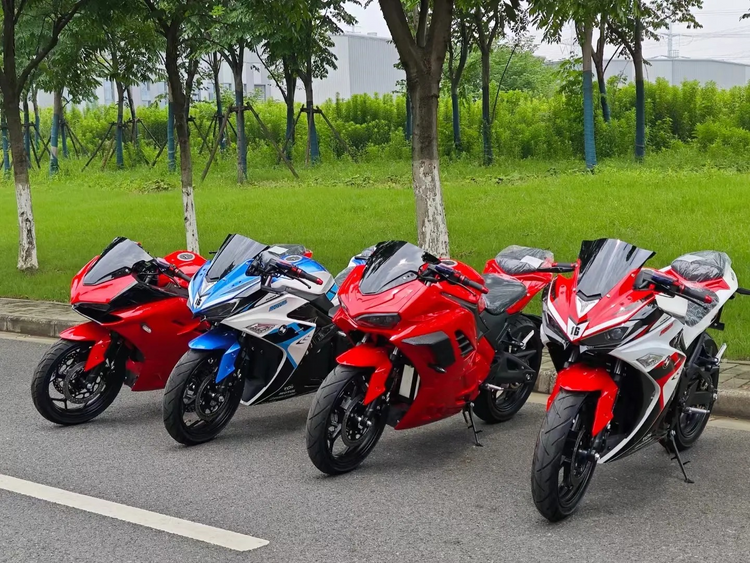 Racing electric motorcycle